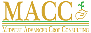 Increase Corn Yields with Midwest Advanced Crop Consulting